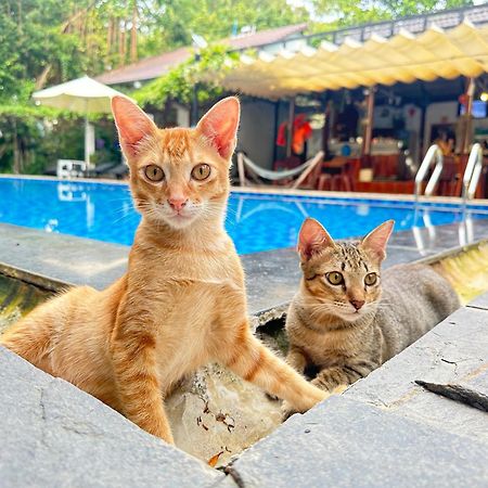 Have Fun Phu Quoc Villa Bagian luar foto