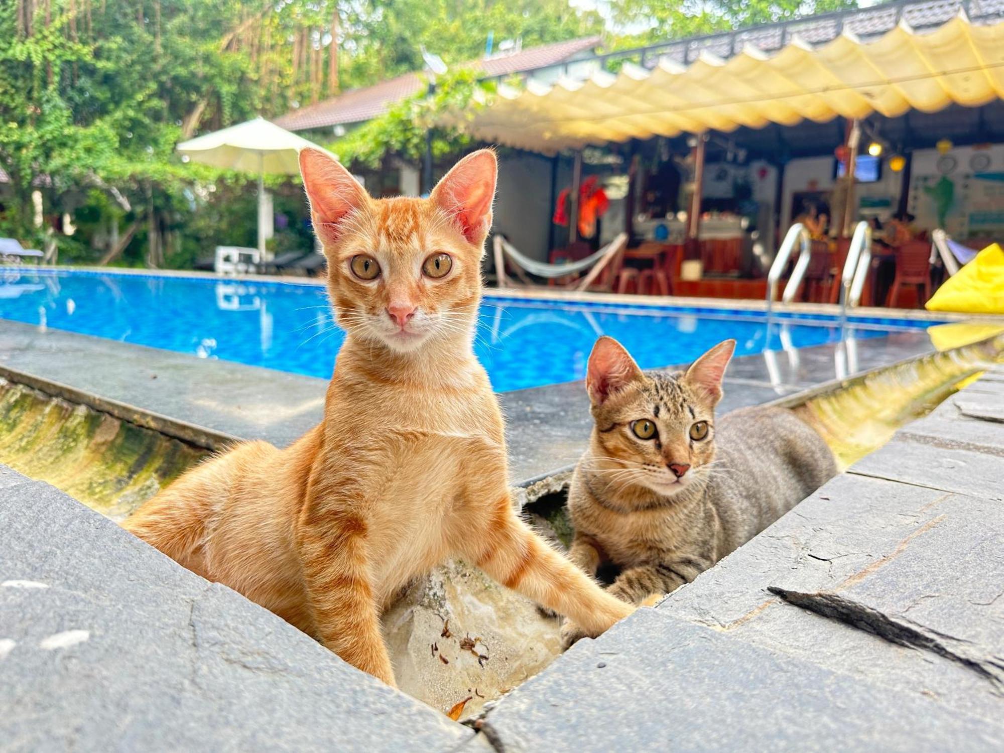 Have Fun Phu Quoc Villa Bagian luar foto
